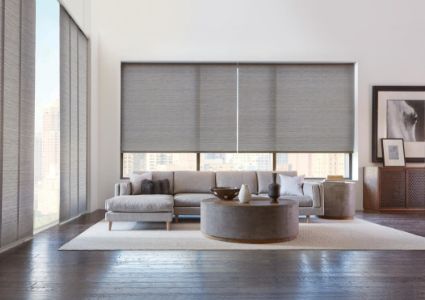 Versatile Motorized Blinds