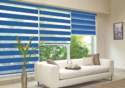 Best Zebra blinds