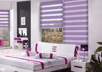 Special Zebra Blinds Dubai