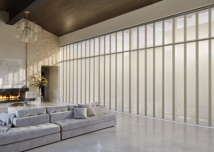 Panel Blinds for living room