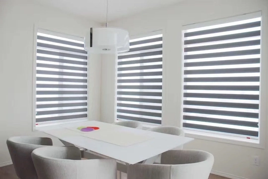Zebra Blinds For dining Room