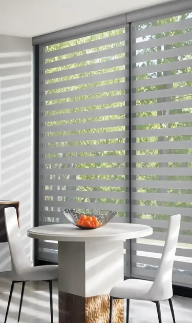 Zebra Living Room Blinds