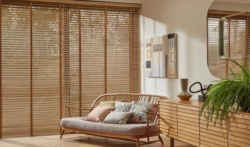 Bamboo Window Blinds