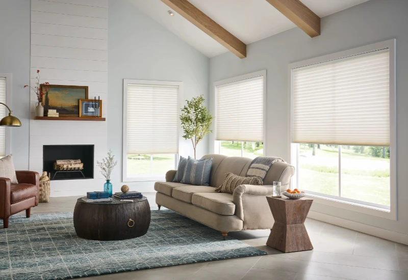 Cellular Blinds for living room