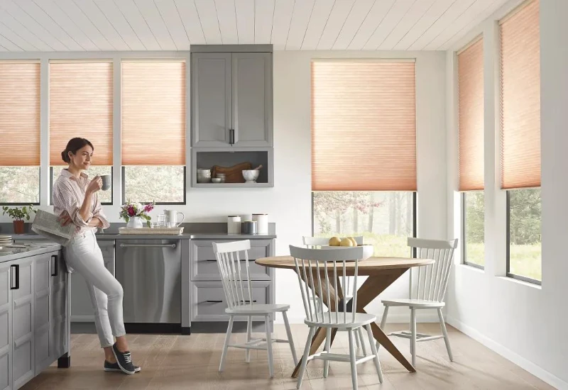 Motorized Blinds