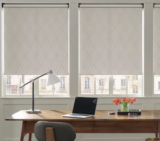 Roller Window Blinds