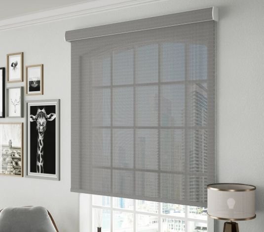 Sunscreen window blinds