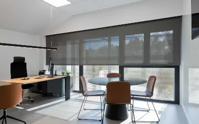 Office Window Blinds