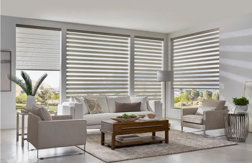 Large Window Blinds in Living Room
