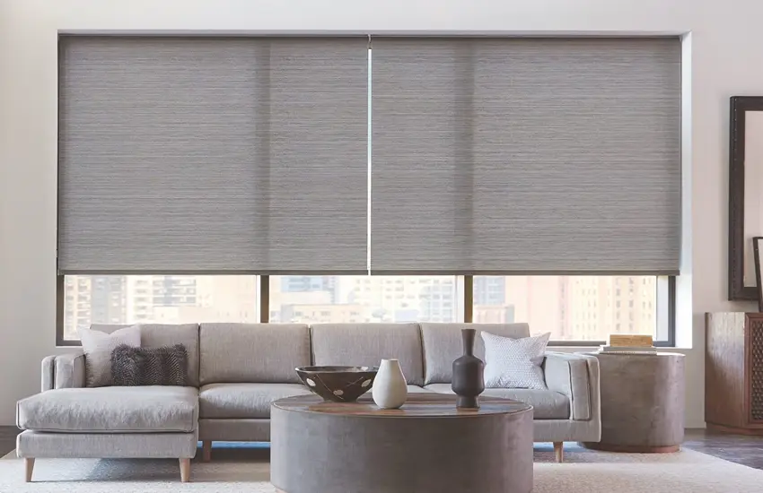 Sheer Window Blinds